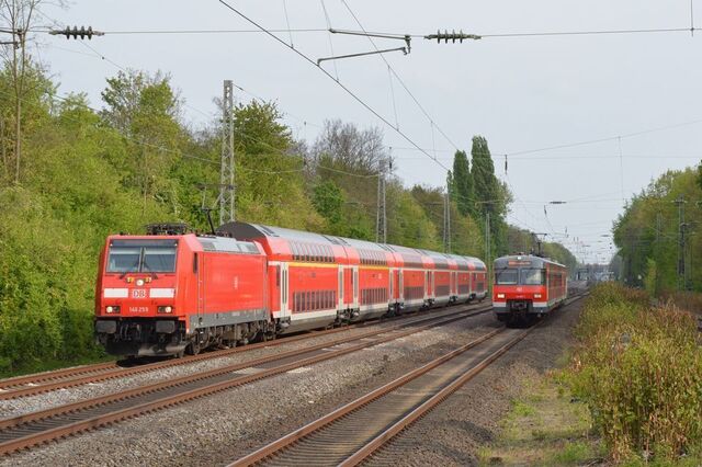 259.jpg