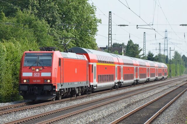 263.jpg
