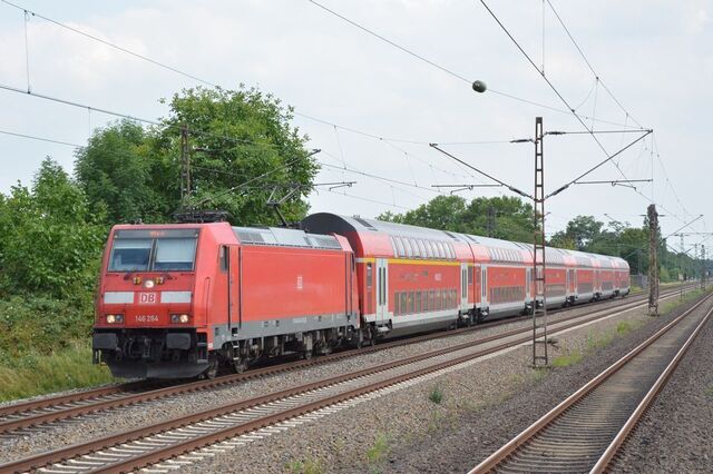 264.jpg