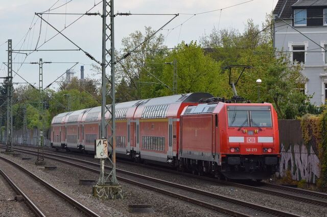 273.jpg