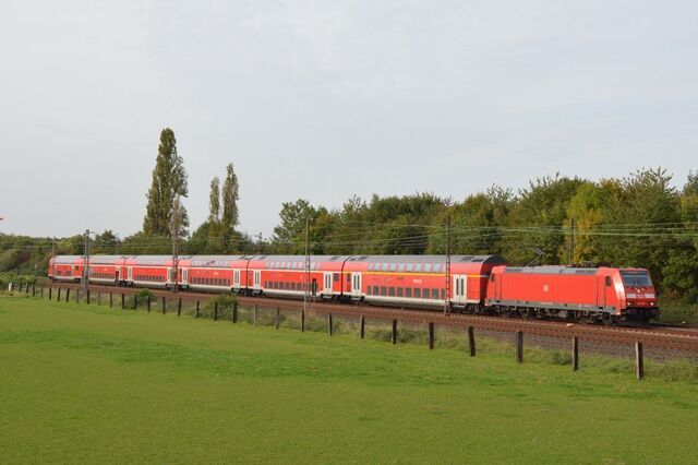 275.jpg